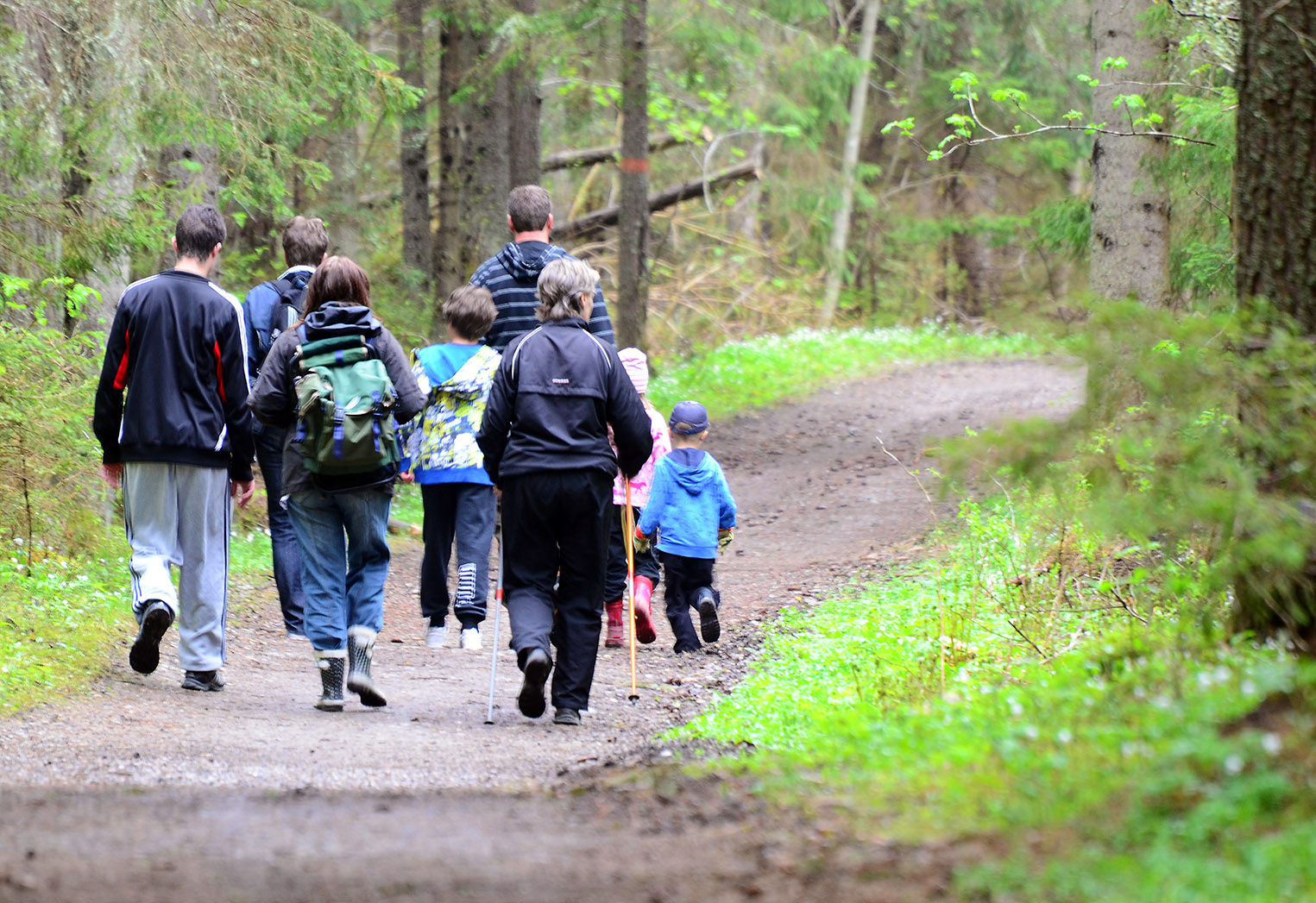 Föreställer en grupp vuxna och barn som är ute och går på en vandringsled i skogen.