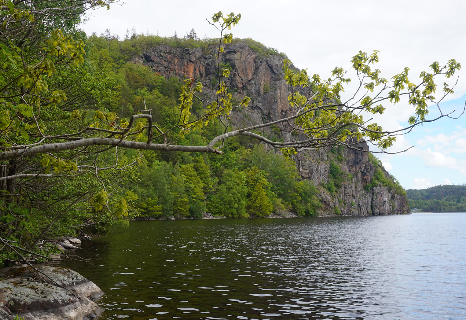 Bild över udden i naturreservatet Börs Flåg, med sjön Hällungen nedanför.