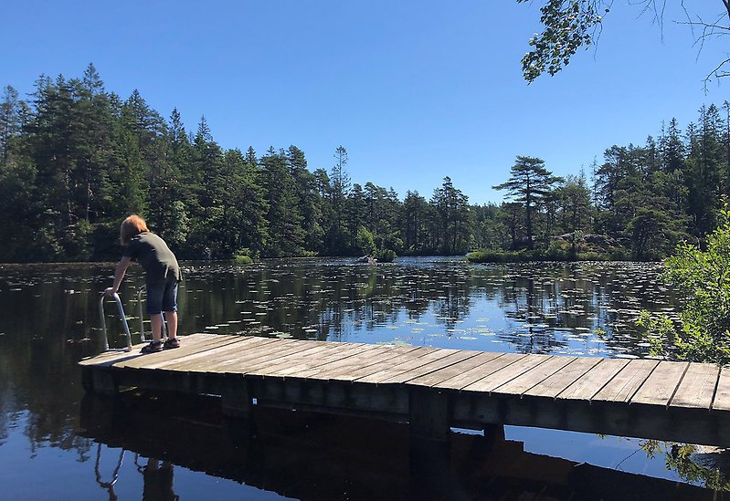 Bild på en pojke som står längst ut på en träbrygga ut i Gårdsjön.